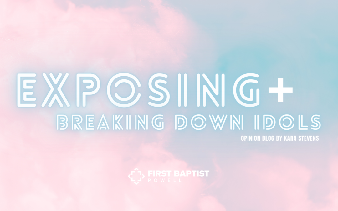Exposing + Breaking Down Idols