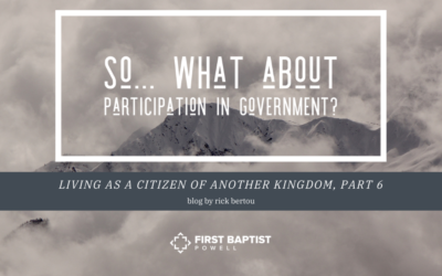 So… What About Participation in Government?